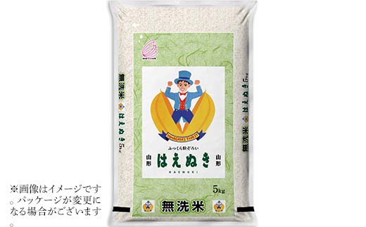 FYN2-031 【12回定期便・1月前半発送】令和7年産 新米 山形県産 はえぬき 10kg 2025年 お米 米 米米 ごはん ご飯 白米 国産 ブランド米 節水 時短 冷めてもおいしい お取り寄せ 食品 山形県 西川町 月山