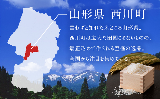 FYN2-138 【3回定期便・5月後半発送】令和7年産 山形県産 はえぬき 10kg 2025年 お米 米 米米 ごはん ご飯 白米 国産 ブランド米 節水 時短 冷めてもおいしい お取り寄せ 食品 山形県 西川町 月山