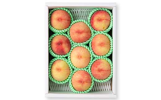 FYN6-073 ≪2026年先行予約≫ ご家庭用 山形県産 品種おまかせ 白桃 約3kg（6～11玉） 2026年8月中旬から順次発送 柔らかくなる桃 はくとう 桃 もも モモ 果物 くだもの 夏果実 フルーツ 訳あり 農業者支援 家庭用 自宅用 産地直送 山形県 西川町 月山