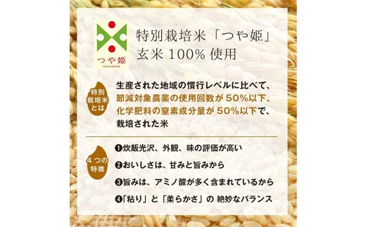 FYN6-151 栄養満点！スーパー大麦もち麦・玄米ごはん 12個セット 山形県産つや姫 パックライス パックごはん お米 玄米 保存食 備蓄 常温 レンジ 簡単