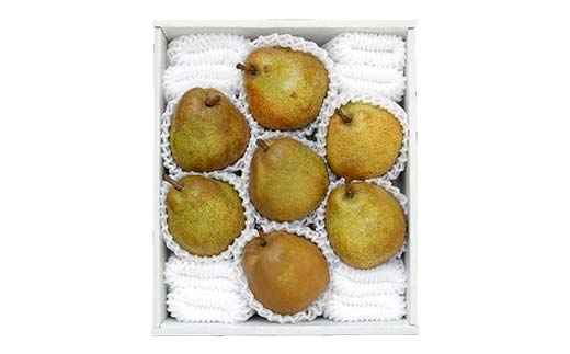 FYN6-164 贈答用 山形県産 洋梨 ラ・フランス 約2.5kg(6～8玉) 2025年11月上旬から順次発送 洋梨 洋なし ラフランス 秋果実 果物 くだもの フルーツ 贈答 贈り物 ギフト プレゼント 産地直送 山形県 西川町 月山