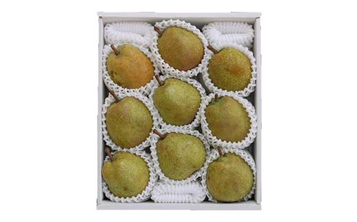 FYN6-165 贈答用 山形県産 洋梨 ラ・フランス 約3.2kg(8～10玉) 2025年11月上旬から順次発送 洋梨 洋なし ラフランス 秋果実 果物 くだもの フルーツ 贈答 贈り物 ギフト プレゼント 3kg 産地直送 山形県 西川町 月山