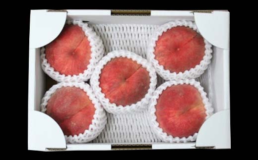 FYN6-224 ≪2026年先行予約≫贈答用 山形県産 おまかせ 白桃 1.4kg(4～7玉)秀品 2026年8月下旬から順次発送 柔らかくなる桃 夏果実 果実 果物 くだもの フルーツ 桃 もも ピーチ 化粧箱 贈答 ギフト プレゼント 産地直送 山形県 西川町 月山