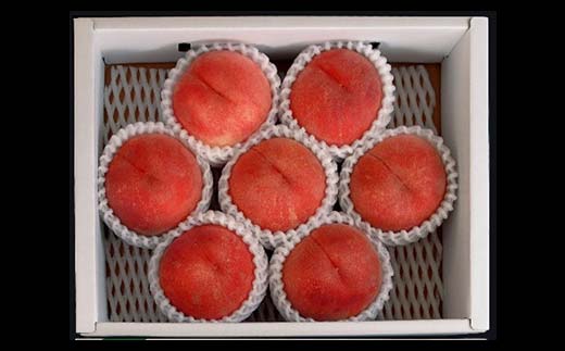 FYN6-225 ≪2026年先行予約≫贈答用 山形県産 おまかせ 白桃 2kg(6～8玉)秀品 2026年8月下旬から順次発送 柔らかくなる桃 夏果実 果実 果物 くだもの フルーツ 桃 もも ピーチ 化粧箱 贈答 ギフト プレゼント 産地直送 山形県 西川町 月山