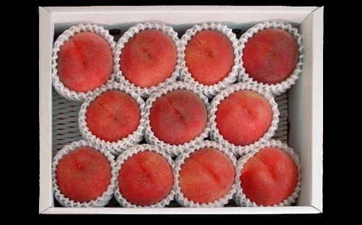 FYN6-227 ≪2026年先行予約≫贈答用 山形県産 おまかせ 白桃 3kg(8～14玉) 秀品 2026年8月下旬から順次発送 柔らかくなる桃 夏果実 果実 果物 くだもの フルーツ 桃 もも ピーチ 化粧箱 贈答 ギフト プレゼント 産地直送 山形県 西川町 月山