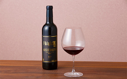 FYN6-246 【月山トラヤワイナリー】 毎月2本お届け ワイン飲み比べ定期便 3回 赤ワイン 白ワイン 山形県 西川町 酒