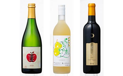 FYN6-247 月山山麓ワイン 飲み比べ6本セット（赤・白・ロゼ・スパークリング）ミディアムボディ ライドボディ 山形県 西川町