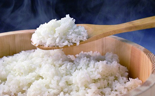 FYN6-271 令和7年度 山形県 西川町産 無洗米 雪若丸 10㎏(5kg×2) 精米 白米 米 こめ ライス ごはん ご飯 ブランド米 銘柄米 家庭用 自宅用 贈答用 お取り寄せ 食品 時短 節水 2025年 西川町 月山