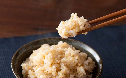 FYN6-290 令和7年度 山形県産 雪若丸 玄米 10kg(5kg×2) お米 米 ごはん ご飯 げんまい 銘柄米 ブランド米 2025年 自宅 家庭 贈り物 プレゼント 贈答 ギフト 食品 山形県 西川町 月山