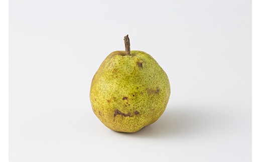 FYN6-430 《2026年先行予約》ご家庭用 山形県産西洋梨 ラ･フランス5kg 2026年11月中旬から順次発送 洋梨 洋なし ラフランス 秋果実 果物 くだもの フルーツ 訳あり 農業者 農家 支援 自宅 家庭 産地直送 山形県 西川町 月山