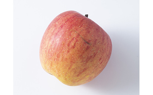 FYN6-432 《2026年先行予約》ご家庭用 山形県産 りんご 5kg 2026年11月下旬から順次発送 林檎 リンゴ 秋果実 冬果実 果物 くだもの フルーツ 訳あり 農業者 農家 支援 自宅 家庭 産地直送 山形県 西川町 月山