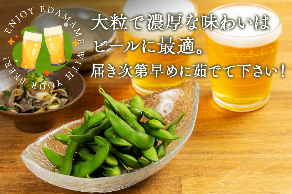 FYN9-408 ≪2026年先行予約≫山形県産 秘伝豆 1.25kg（250g×5袋）2026年9月中旬から順次発送 小分け 個包装 青大豆 枝豆 えだまめ 野菜 やさい おつまみ ビール 国産 山形県 西川町 月山