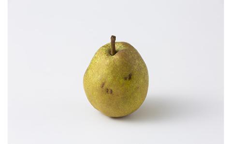 FYN9-598 《2025年先行予約》ご家庭用 山形県産西洋梨 ラ･フランス5kg 2025年11月上旬から順次発送 洋梨 洋なし ラフランス 秋果実 果物 くだもの フルーツ 訳あり 農業者 農家 支援 自宅 家庭 産地直送 山形県 西川町 月山