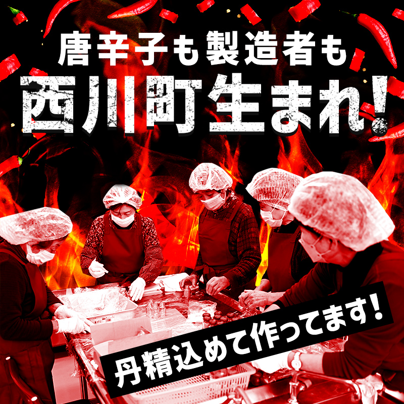 FYN9-645 山形県 西川町産 唐辛子使用！ 月山なんばこ 4種4本セット 調味料 食品 香辛料 スパイス 唐辛子 とうがらし 辛い 手作り 命がけ 山形県 西川町 月山
