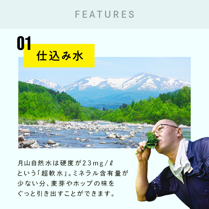 FYN9-719 【定期便3回】クラフトビール 月山ビール ピルスナー 6本セット 地ビール こだわり お酒 山形県 西川町