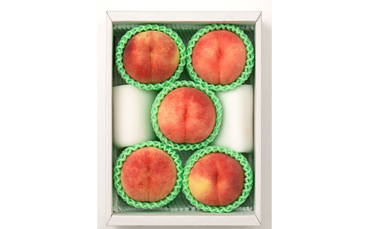 FYN9-895 ≪2026年先行予約≫ 贈答用 山形県産 白桃 あかつき 1.5kg(5～7玉) 秀品 2026年7月下旬から順次発送 柔らかくなる桃 果物 くだもの フルーツ 夏果実 桃 もも ピーチ 化粧箱 ギフト箱 贈答 ギフト プレゼント 中元 自宅 家庭 産地直送 山形県 西川町 月山