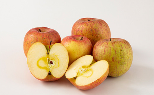 FYN9-913 【農業者支援】 加工用 山形県産 品種おまかせ りんご 約5kg くだもの フルーツ 林檎 リンゴ アップル 秋果実 生産者支援 農業者支援 支援品 自宅用 家庭用 訳アリ ワケアリ 数量限定 山形県 西川町 月山