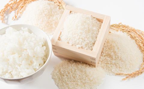 FYN9-426 【定期便4回】 山形県西川町のお米 食べ比べセット 各5kg 食べ比べ 食べくらべ 米