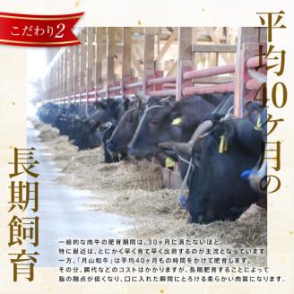 FYN9-863 山形県産黒毛和牛《月山和牛》福寿館 サーロインステーキ 200g×5枚 牛肉 山形県 西川町