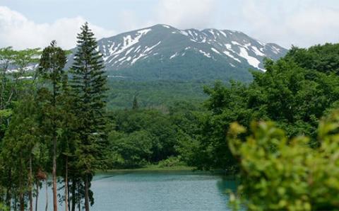 FYN9-622 山形県西川町産 月山クロモジ芳香蒸留水 （スプレーボトル） 50ml