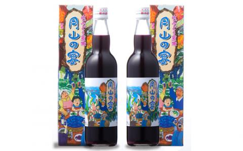 FYN9-424 山ぶどう原液「月山の宴」 2本 ブドウ 飲料 山形県 西川町