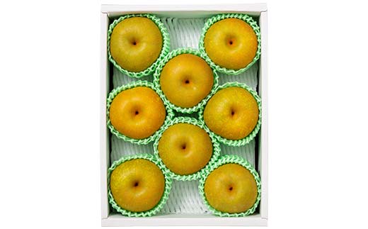 FYN6-074 ≪2026年先行予約≫ 贈答用 山形県産 和梨 約3kg（7～12玉） 秀品 2026年8月中旬頃から順次発送 幸水 こうすい 豊水 ほうすい 梨 夏果実 果物 くだもの フルーツ ギフト箱 化粧箱 ギフト プレゼント 贈り物 産地直送 西川町 月山