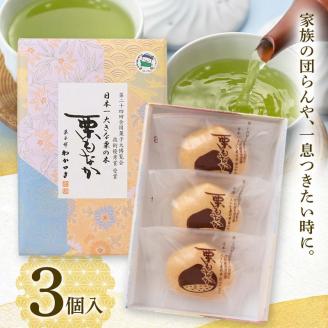 FYN6-158 【西川町銘菓】日本一大きな栗の木「栗もなか」 3個入 全国菓子博覧会 技術優秀賞受賞 和菓子 最中 山形県 西川町