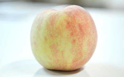 FYN6-208 ≪2026年先行予約≫ご家庭用 山形県産 おまかせ 白桃 約5kg(12～20玉) 2026年8月上旬から順次発送 夏果実 果実 果物 くだもの フルーツ 桃 もも ピーチ 家庭用 自宅用 訳あり 農業者 農家 支援品 産地直送 山形県 西川町 月山