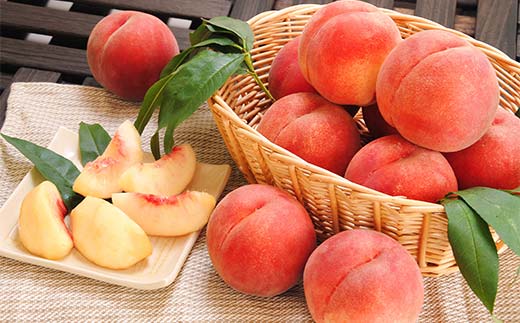 FYN6-225 ≪2026年先行予約≫贈答用 山形県産 おまかせ 白桃 2kg(6～8玉)秀品 2026年8月下旬から順次発送 柔らかくなる桃 夏果実 果実 果物 くだもの フルーツ 桃 もも ピーチ 化粧箱 贈答 ギフト プレゼント 産地直送 山形県 西川町 月山