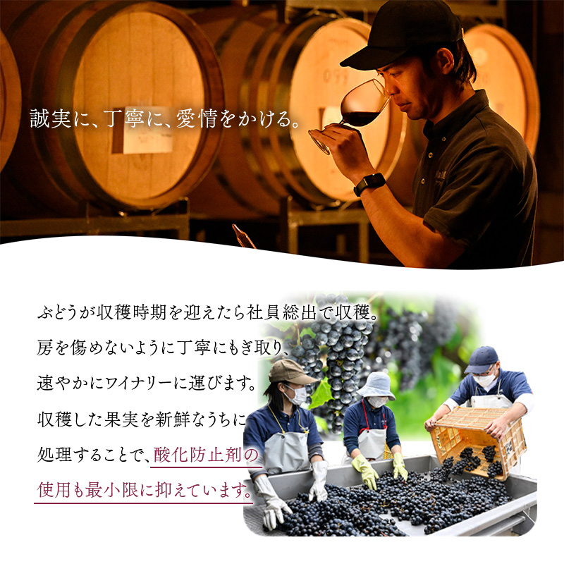 FYN6-236 【月山トラヤワイナリー】月山山麓 白 720ml 白ワイン 山形県 西川町