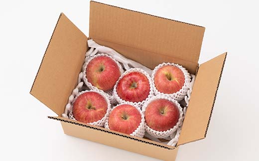 FYN6-309 山形県産 品種おまかせ りんご 赤色系 約2kg(5～8玉) 準秀品 2025年10月上旬から順次発送 果物 くだもの フルーツ 林檎 リンゴ アップル 秋果実自宅用 家庭用 訳アリ ワケアリ 山形県 西川町 月山