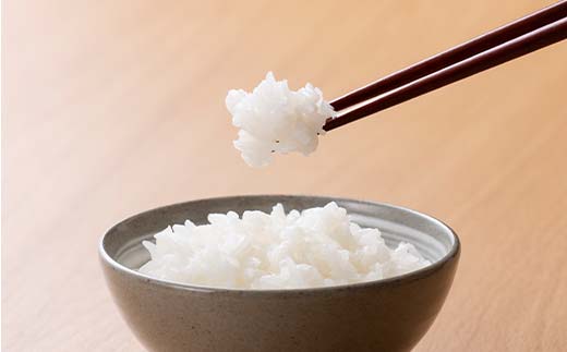 FYN6-348 ≪定期便3回≫テーブルマーク 山形県産 つや姫 パックごはん 32食(4食入×8パック)×3回 合計96食 白米 米 ご飯 ごはん ライス つやひめ パック パックライス 簡単調理 レンジ レンチン 常温保存 保存食 非常食 備蓄 国産 食品 定期 頒布会 毎月届く 山形県 西川町 月山