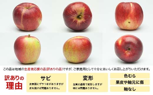 FYN6-405 ≪2025年先行予約≫ ご家庭用 山形県産 品種おまかせ りんご 赤色系 5kg 2025年10月上旬から順次発送 果物 くだもの フルーツ 林檎 リンゴ アップル 秋果実 生産者支援 農業者支援 支援品 自宅用 家庭用 訳アリ ワケアリ 山形県 西川町 月山