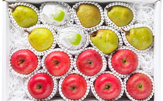 FYN9-384 ≪2026年先行予約≫山形県産 ラ・フランス サンふじりんご 詰合せ 5kg 2026年11月中旬から順次発送 洋梨 ラフランス 林檎 りんご リンゴ 秋果実 果物 くだもの フルーツ 食べ比べ 自宅用 家庭用 産地直送 山形県 西川町 月山