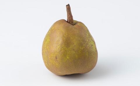 FYN9-598 《2025年先行予約》ご家庭用 山形県産西洋梨 ラ･フランス5kg 2025年11月上旬から順次発送 洋梨 洋なし ラフランス 秋果実 果物 くだもの フルーツ 訳あり 農業者 農家 支援 自宅 家庭 産地直送 山形県 西川町 月山