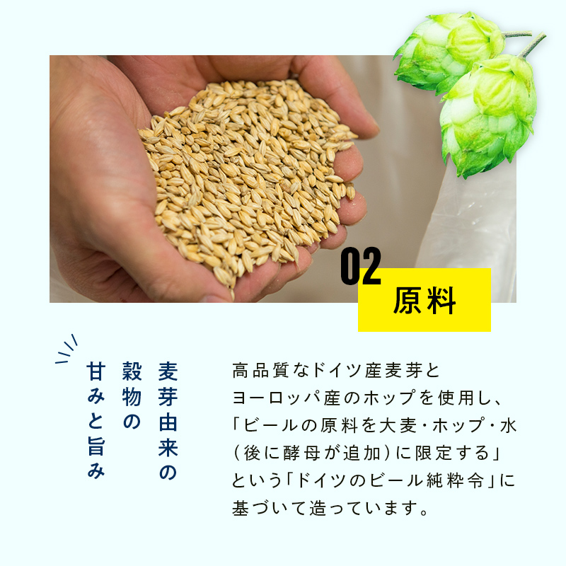 FYN9-721 【定期便3回】クラフトビール 月山ビール ミュンヒナー 6本セット 地ビール こだわり お酒 山形県 西川町