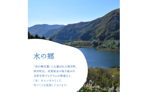 FYN9-729 【定期便】月山自然水500ml×24本×3ヶ月コース 天然水 国産 備蓄 防災 保存 ペットボトル ナチュラル 山形県 西川町