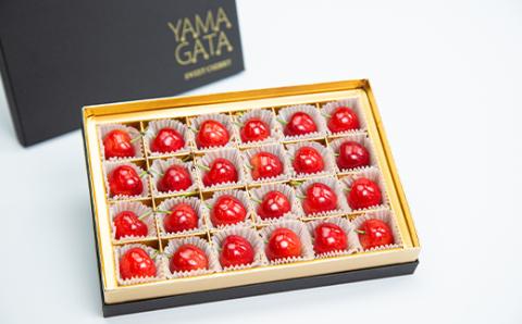 FYN9-926 ≪2026年先行予約≫5月10日母の日 贈答用 山形県産 さくらんぼ 佐藤錦 24粒 化粧箱入 2026年5月上旬から発送 加温 ハウス栽培 果実 果物 くだもの フルーツ 食品 デザート 化粧箱 贈答 ギフト プレゼント母 母の日 感謝 産地直送 山形県 西川町 月山