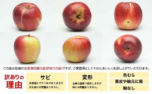 FYN9-967 【農業者支援】ご家庭用 2025年 山形県産 品種おまかせ りんご 赤色系 約10kg 2025年10月上旬から順次発送 果物 くだもの フルーツ 林檎 リンゴ アップル 秋果実 生産者支援 農業者支援 支援品 自宅用 家庭用 訳アリ ワケアリ 山形県 西川町 月山