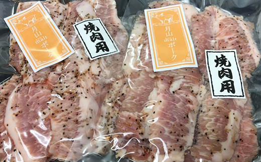 FYN6-194 【月山maltポーク】山形県産 焼肉用バラエティセット 豚肉 山形県 西川町