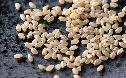 FYN6-285 令和7年度 山形県産 つや姫 玄米 5kg お米 米 ごはん ご飯 げんまい 銘柄米 ブランド米 つやひめ 2025年 自宅 家庭 贈り物 プレゼント 贈答 ギフト 食品 山形県 西川町 月山