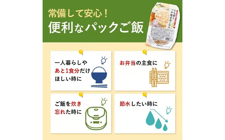 FYN6-381 【定期便3回】山形県産 特別栽培米使用！もち麦とつや姫玄米ごはん 12個×3回 合計36個 GABA入 レンジで2分 パックごはん パックライス 玄米 つや姫 つやひめ 銘柄米 ブランド米 米 こめ ご飯 ごはん ライス 簡単 調理 レンチン 手軽 時短 保存食 備蓄 自宅 家庭 贈答 贈り物 ギフト プレゼント 山形県 西川町 月山