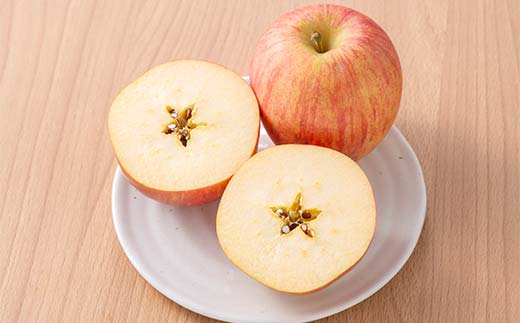 FYN6-404 ご家庭用 山形県産 品種おまかせ りんご 赤色系 約3kg 2025年10月上旬から順次発送 果物 くだもの フルーツ 林檎 リンゴ アップル 秋果実 生産者支援 農業者支援 支援品 自宅用 家庭用 訳アリ ワケアリ 山形県 西川町 月山