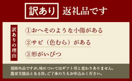 FYN6-429 《2026年先行予約》ご家庭用 山形県産西洋梨 ラ･フランス3kg 2026年11月中旬から順次発送 洋梨 洋なし ラフランス 秋果実 果物 くだもの フルーツ 訳あり 農業者 農家 支援 自宅 家庭 産地直送 山形県 西川町 月山