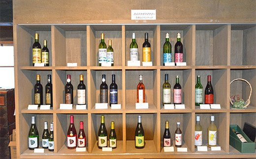 FYN6-464 【数量限定】月山山麓ワイン 赤・白 飲み比べ2本セット（メルロー・シャルドネヴィンテージ）720ml×2 ミディアムボディ 辛口 山形県 西川町