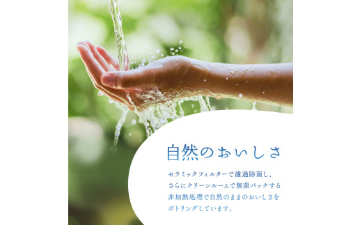 FYN9-013 月山自然水500ml×24本 天然水 国産 備蓄 防災 保存 ペットボトル ナチュラル 山形県 西川町