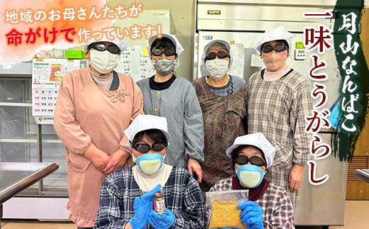 FYN9-528 山形県 西川町産 唐辛子使用！ 月山なんばこ 3種3本セット(激辛・一味・青唐辛子) 調味料 食品 香辛料 スパイス 唐辛子 とうがらし 辛い 手作り 命がけ 山形県 西川町 月山