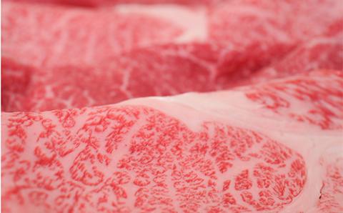 FYN9-867 月山和牛 ロースももすき焼 500g ＆ 月山山麓「月虎」カベルネ・ソーヴィニヨン（赤）720ml セット トラヤ 赤ワイン 山形県 西川町