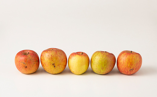 FYN9-913 【農業者支援】 加工用 山形県産 品種おまかせ りんご 約5kg くだもの フルーツ 林檎 リンゴ アップル 秋果実 生産者支援 農業者支援 支援品 自宅用 家庭用 訳アリ ワケアリ 数量限定 山形県 西川町 月山