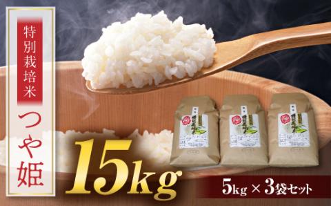 FYN9-111 つや姫 15kg (5kg×3) 山形県 西川町産 白米 ツヤ 甘み 旨み